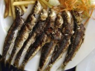 Riba je bogata omega 3 masnim kiselinama